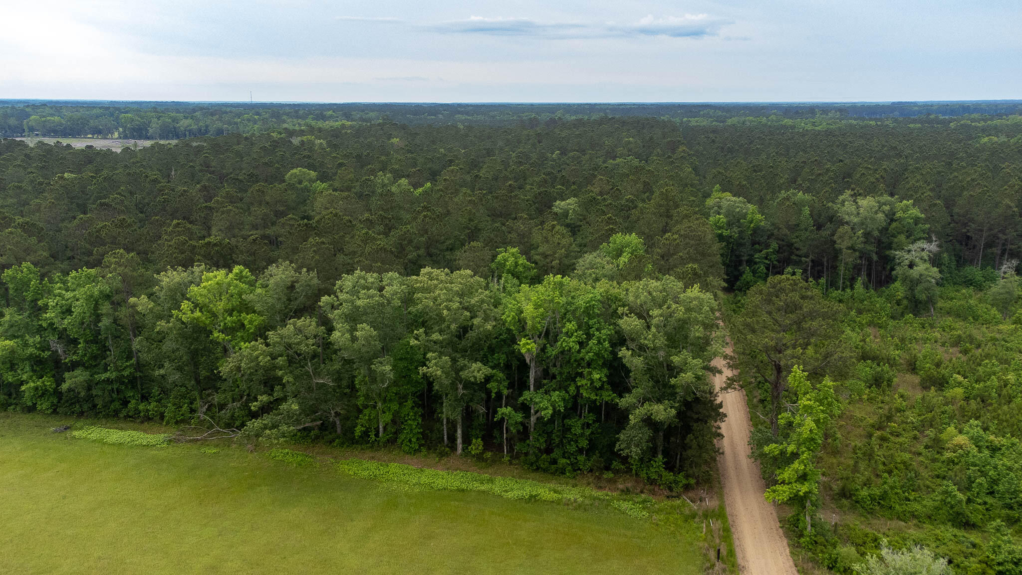 1034 Tuten Road Jacksonboro, SC 29452 - Photo 8 of 77 Hayne HallSC Land for Sale-10