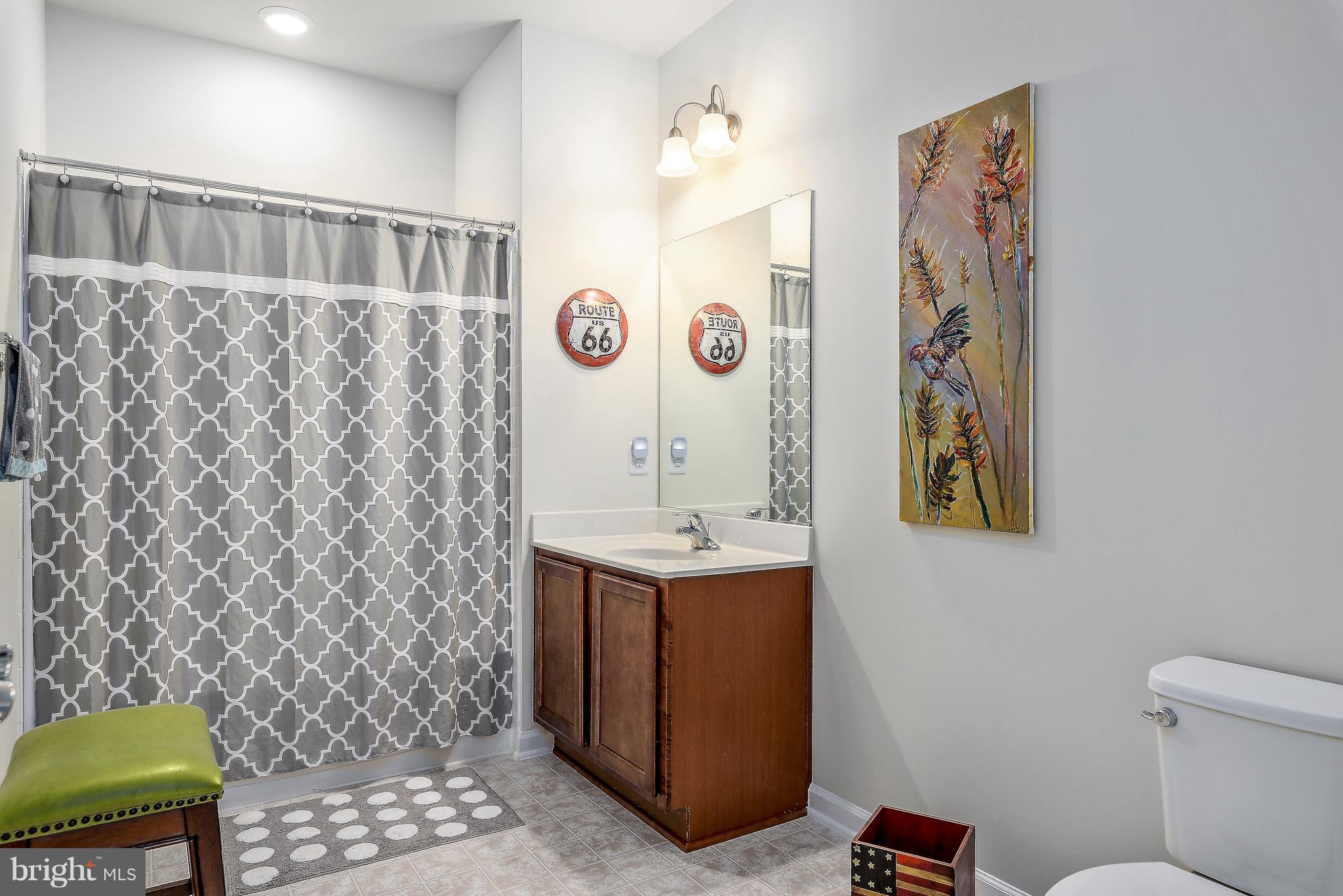 20650 Hope Spring Terrace, Unit 103 Ashburn, VA 20147 - Photo 20 of 30 a bathroom with a sink a toilet and shower curtain