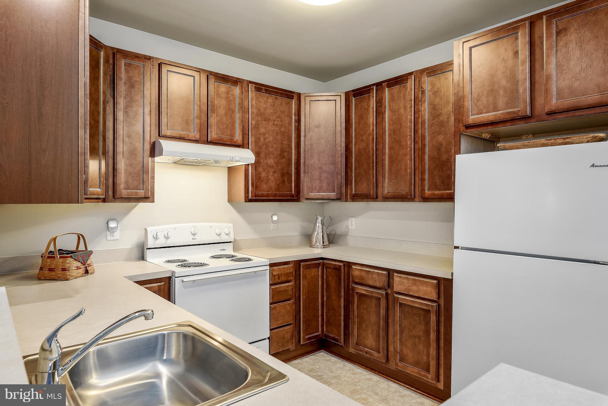 20650 Hope Spring Terrace, Unit 103 Ashburn, VA 20147 - Photo 9 of 30 a kitchen with a sink cabinets and appliances