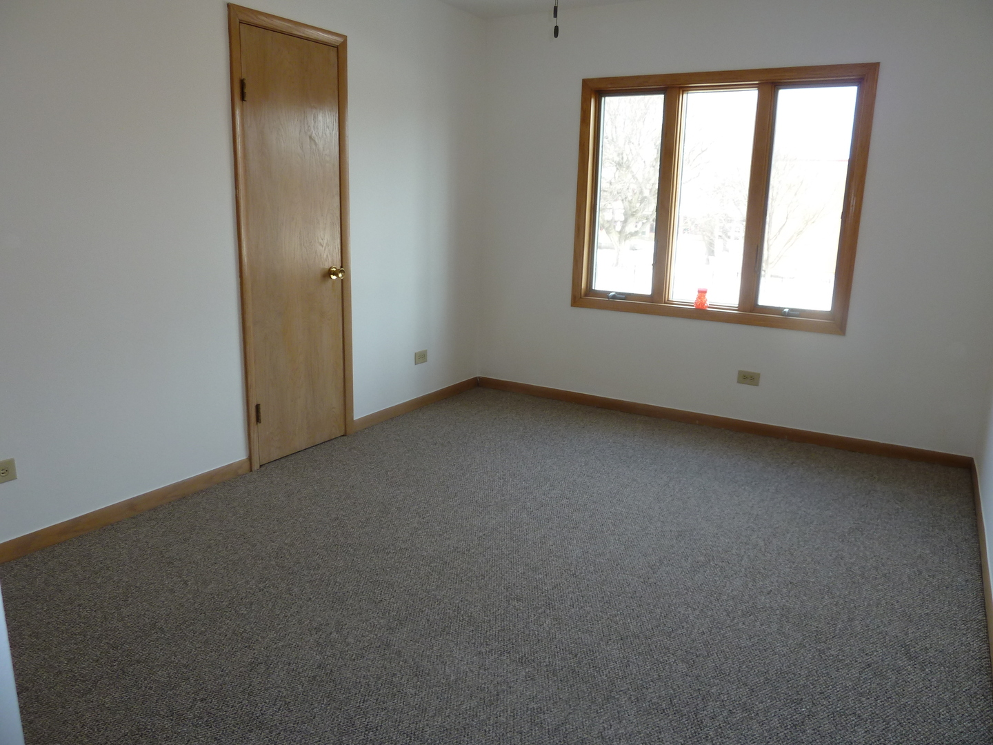 7922 South Pulaski Road Chicago, IL 60652 - Photo 67 of 96 an empty room with windows and closet