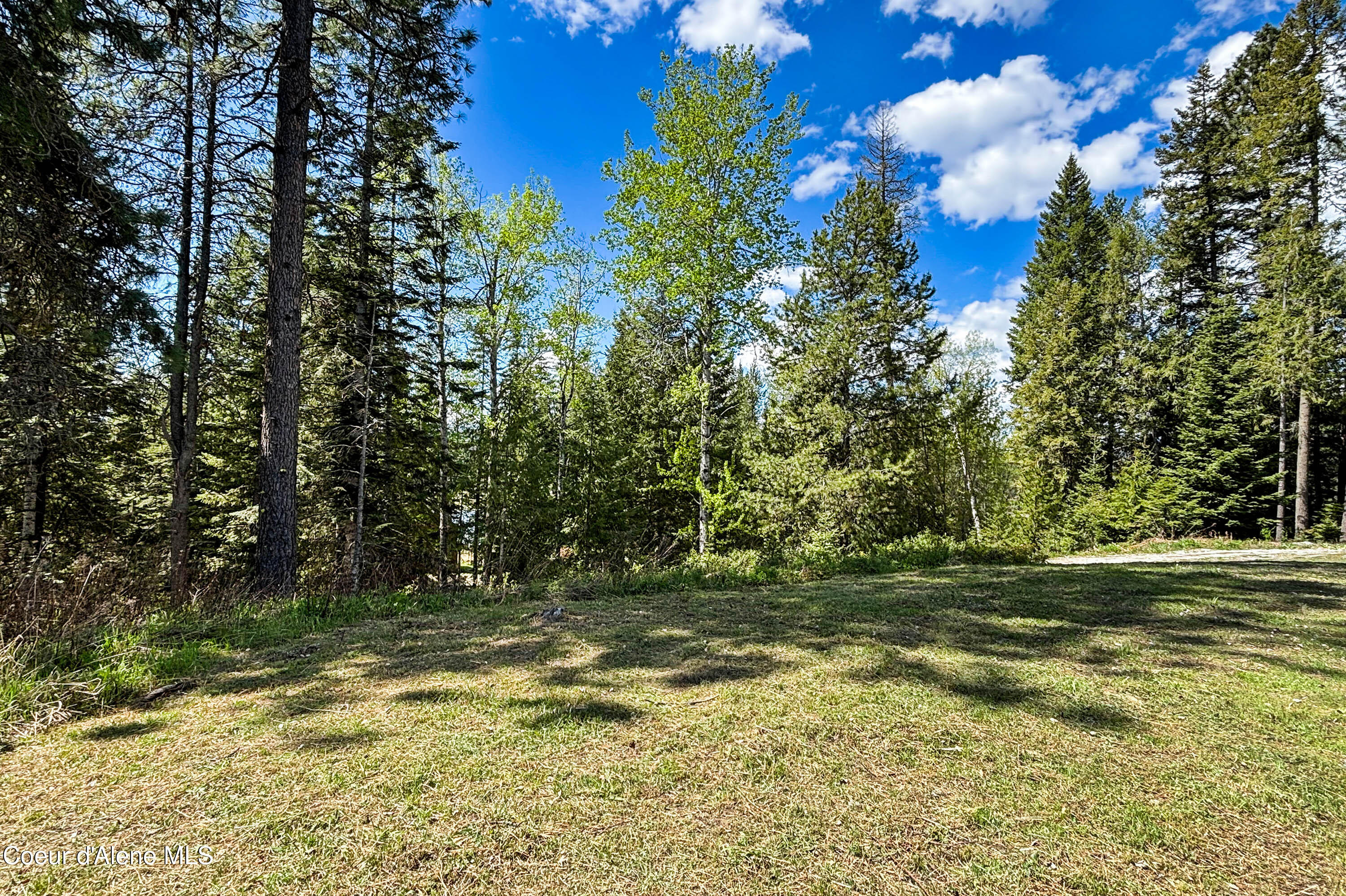 1279 Gypsy Bay Road Sagle, ID 83860 - Photo 24 of 37 View from the large yard