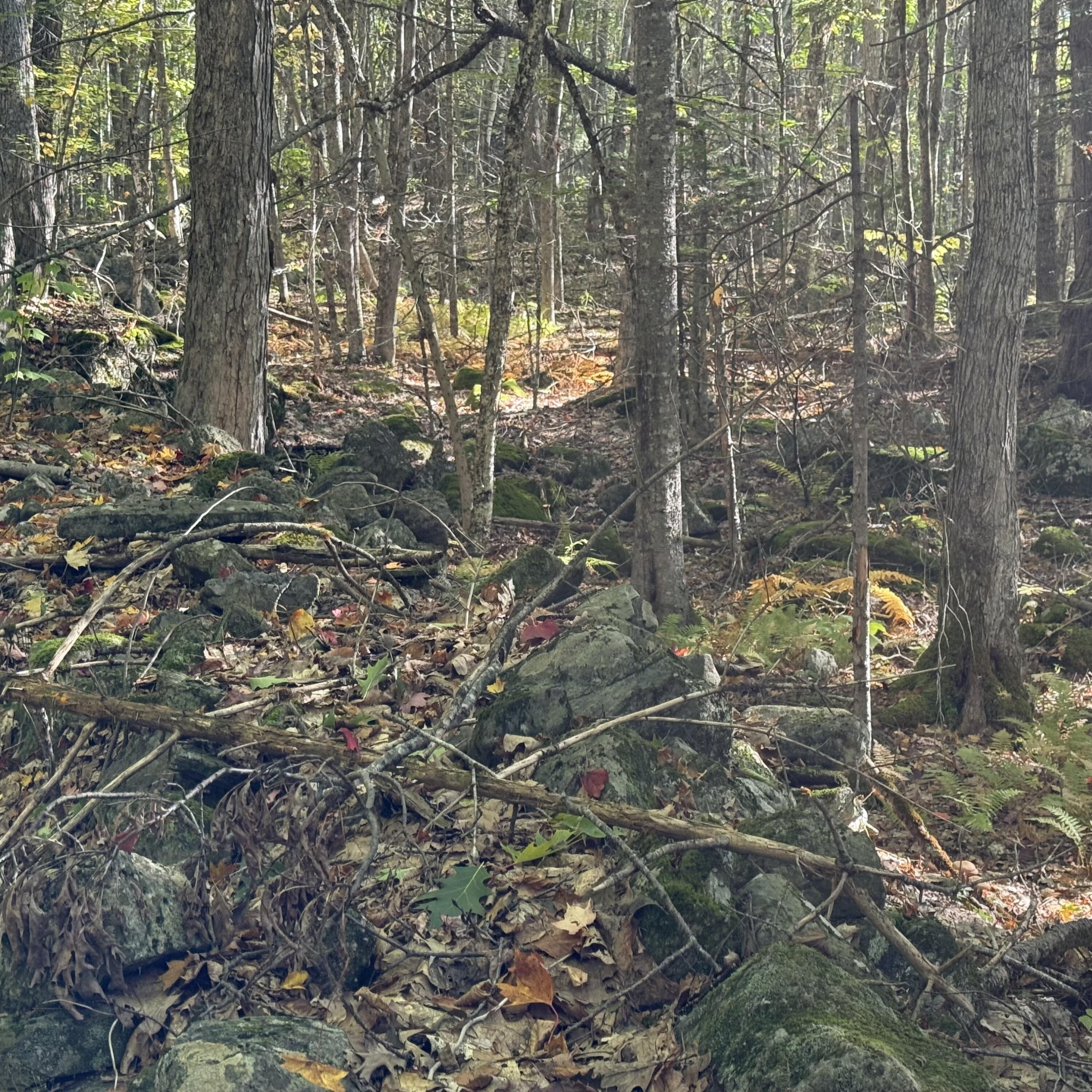 266 Mountain Road Washington, ME 04574 - Photo 3 of 4 IMG_5212