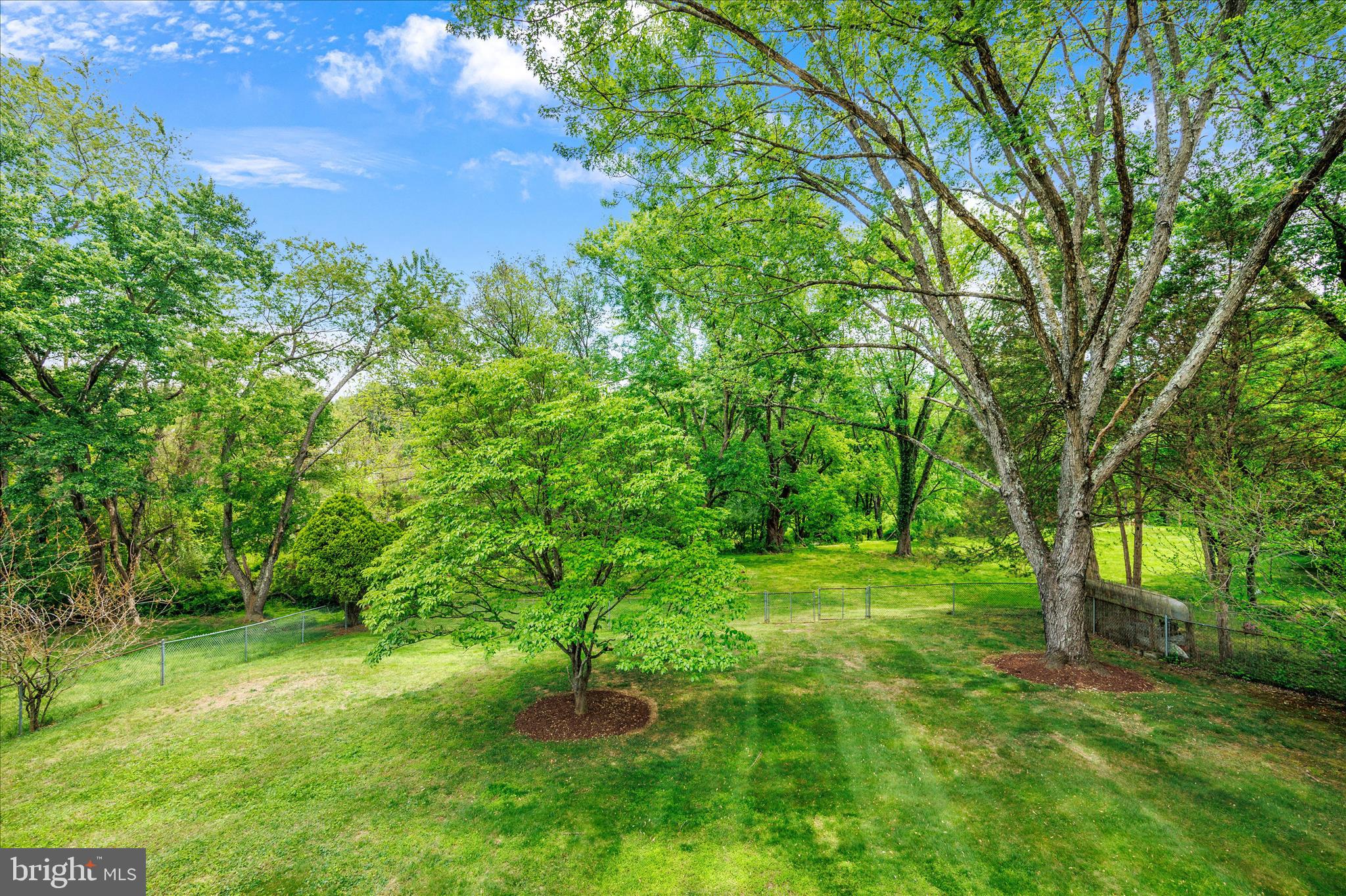 3204 Llewellyn Field Road Olney, MD 20832 - Photo 39 of 42 a lush green forest with lots of trees