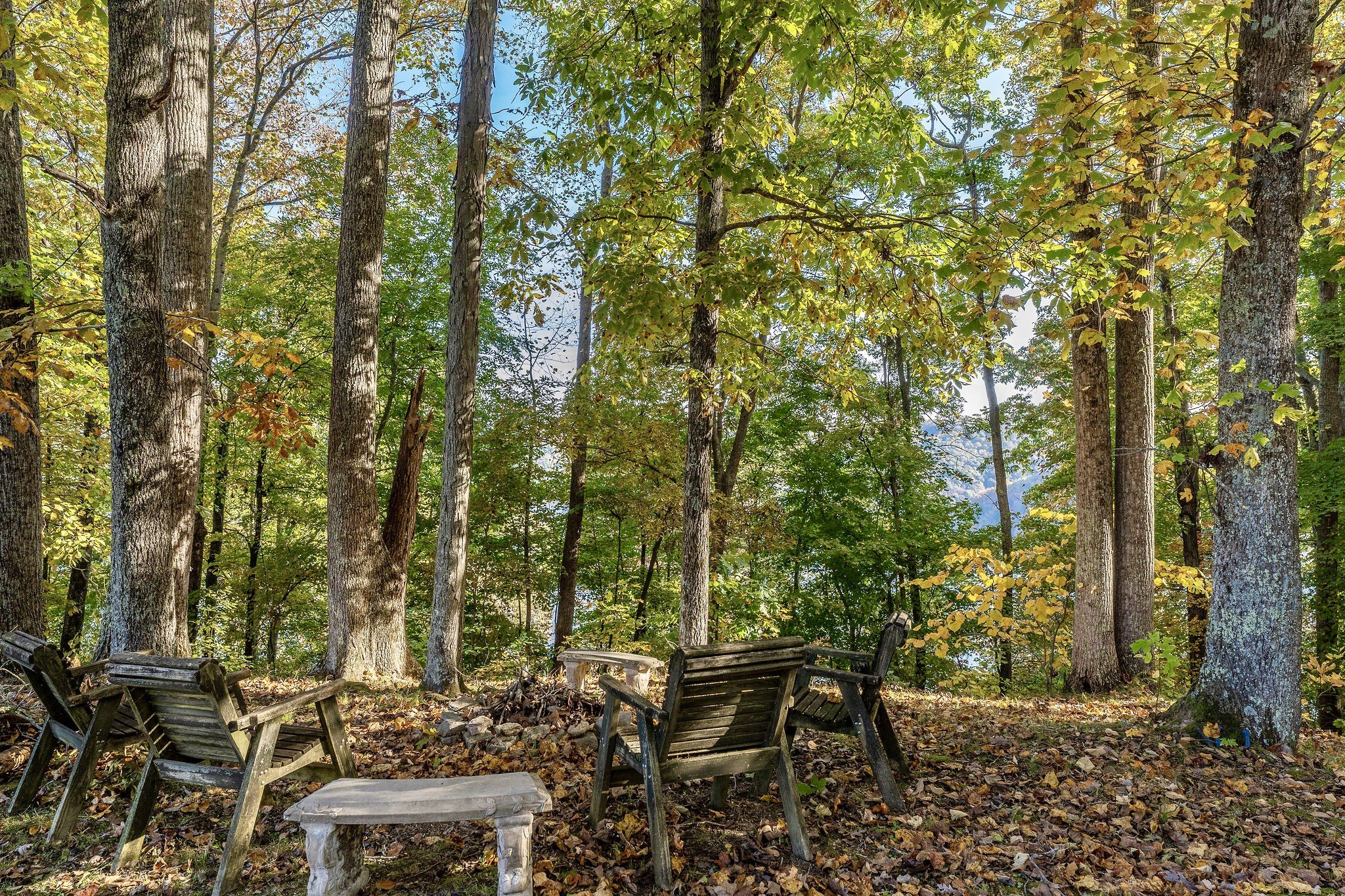 1824 Puckett Point Road Smithville, TN 37166 - Photo 46 of 53 a view of outdoor space yard and patio