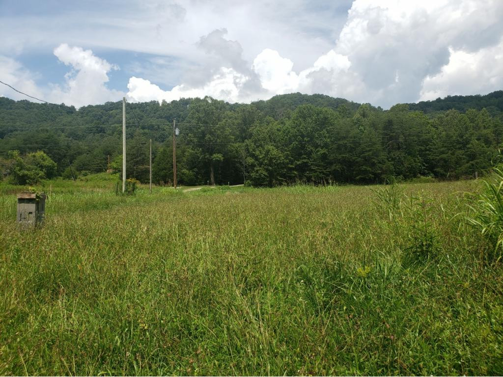 1312 Upper Caney Valley Road Tazewell, TN 37879 - Photo 33 of 35 Photo 34