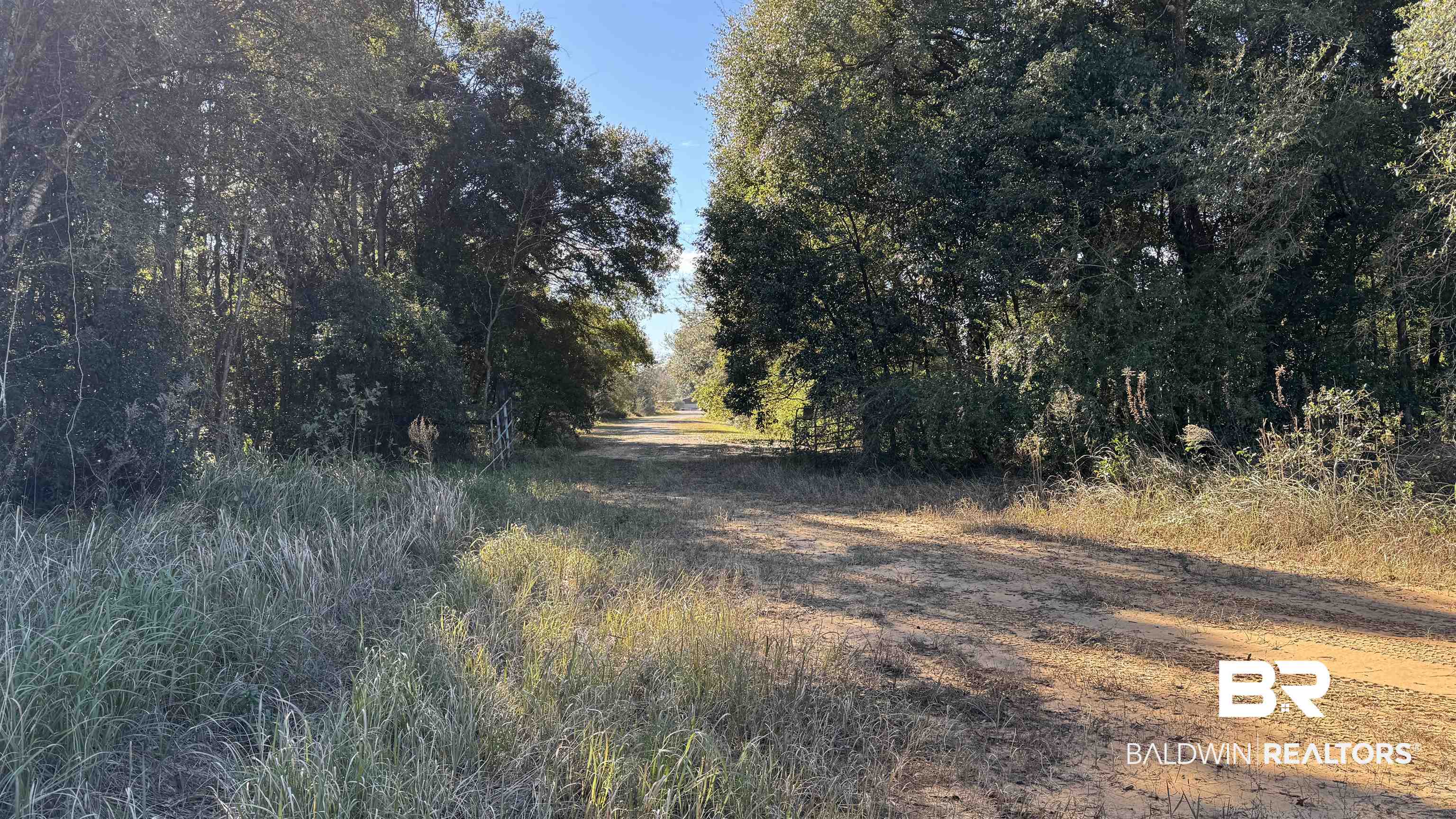 14830 Old Pascagoula Road Grand Bay, AL 36541 - Photo 25 of 32 View of nature