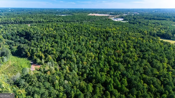 a view of a lush green forest with a lush green forest
