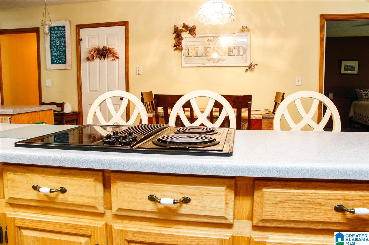 1075 Harold Boozer Road Jacksonville, AL 36265 - Photo 19 of 46
