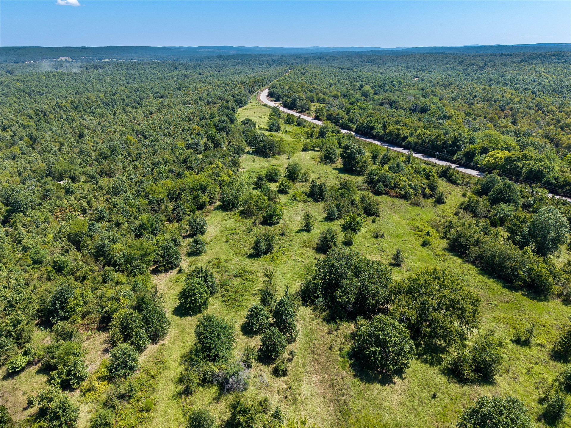 80 Cloudy Road Rattan, OK 74562 - Photo 7 of 28 Expansive wooded acreage featuring a paved road traversing the property, lush green clearings, and a vast natural landscape