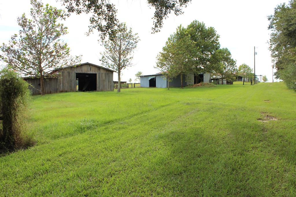 2498 Tindil Creek Road Slocomb, AL 36375 - Photo 43 of 49 Property View