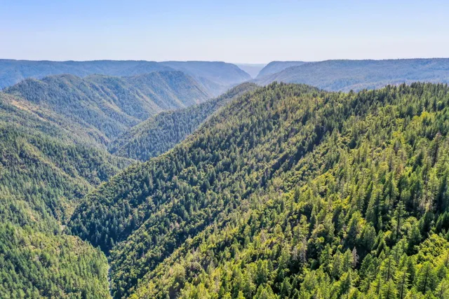 a view of a lush green hillside and a mountain