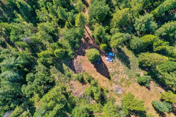 an aerial view of a house with a yard and large trees