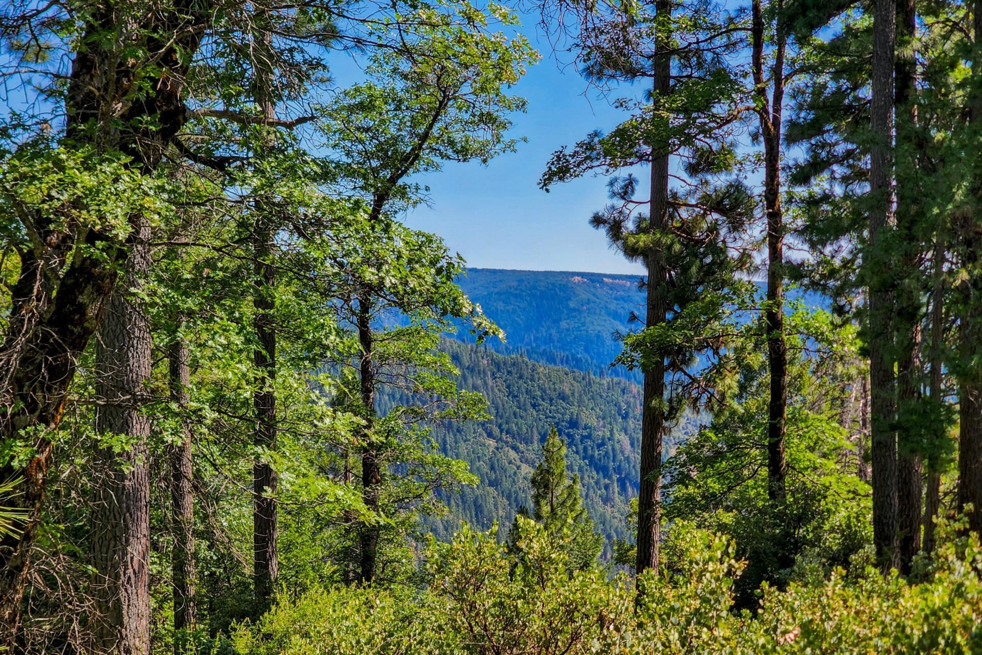 Emigrant Gap Emigrant Gap, CA 95715 - Photo 6 of 21 an aerial view of a house with a yard