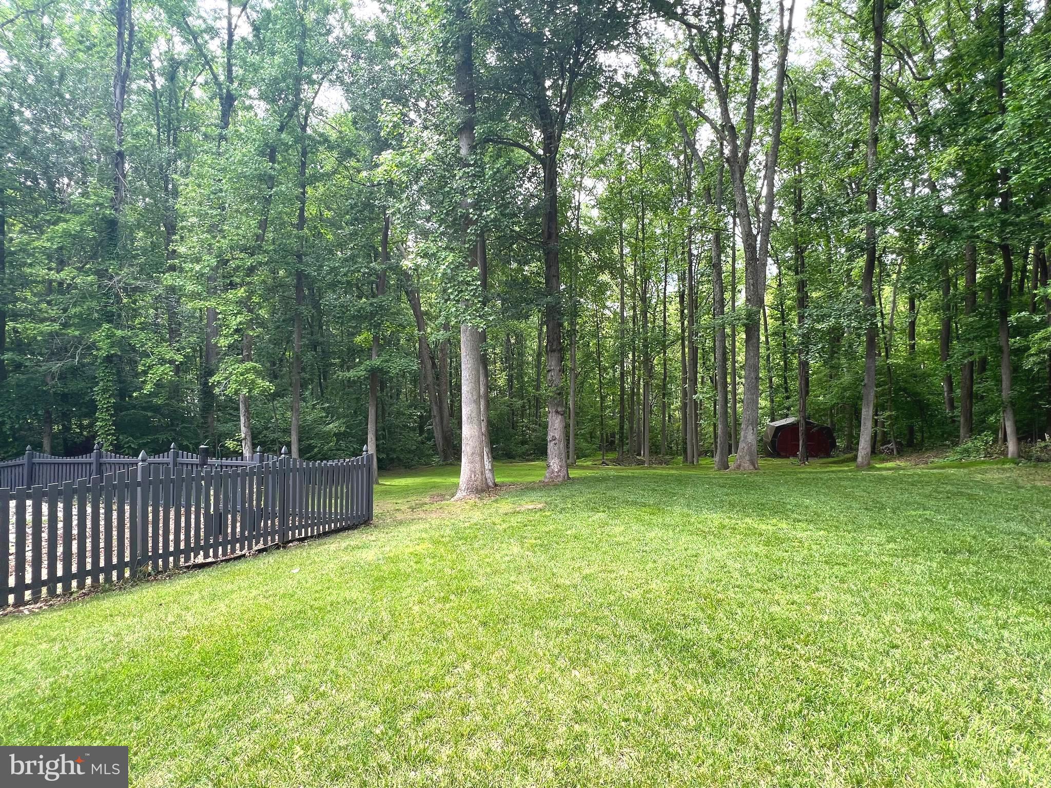 6450 Meadowlark Drive Dunkirk, MD 20754 - Photo 17 of 36 a view of a backyard with a trees