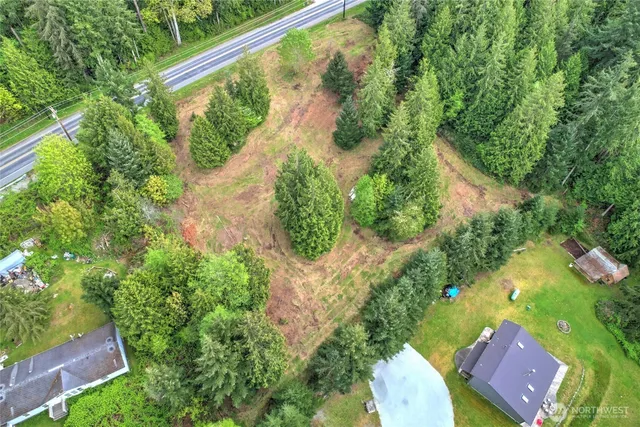 a view of a yard with plants