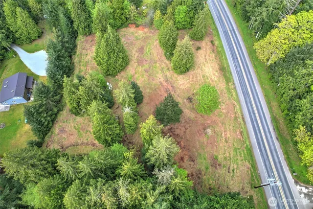 a view of a yard with plants