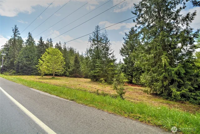 a view of a yard with a tree