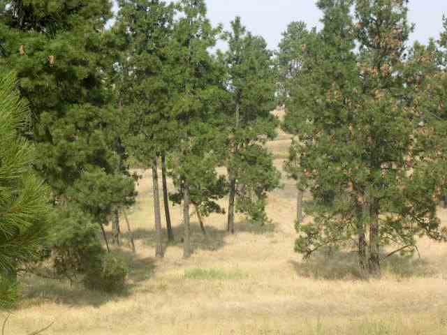 3 Belsby Road Cheney, WA 99004 - Photo 1 of 2