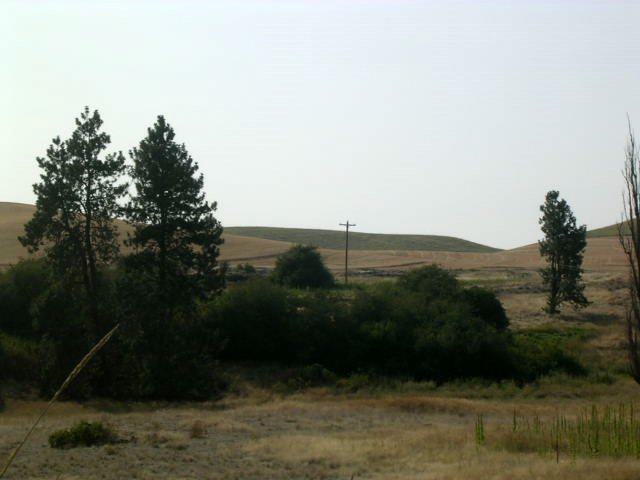 3 Belsby Road Cheney, WA 99004 - Photo 2 of 2