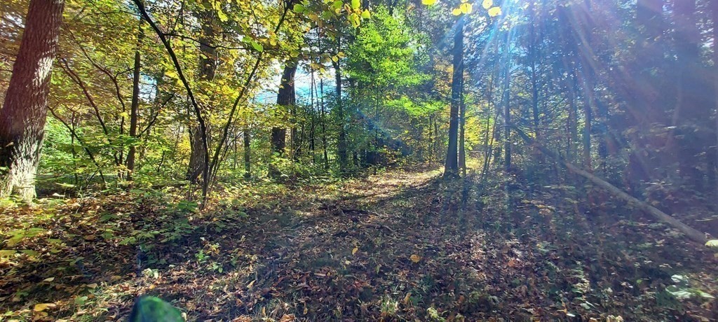Lot-d Harkness Road Amherst, MA 01002 - Photo 3 of 11 Gallery Image 3