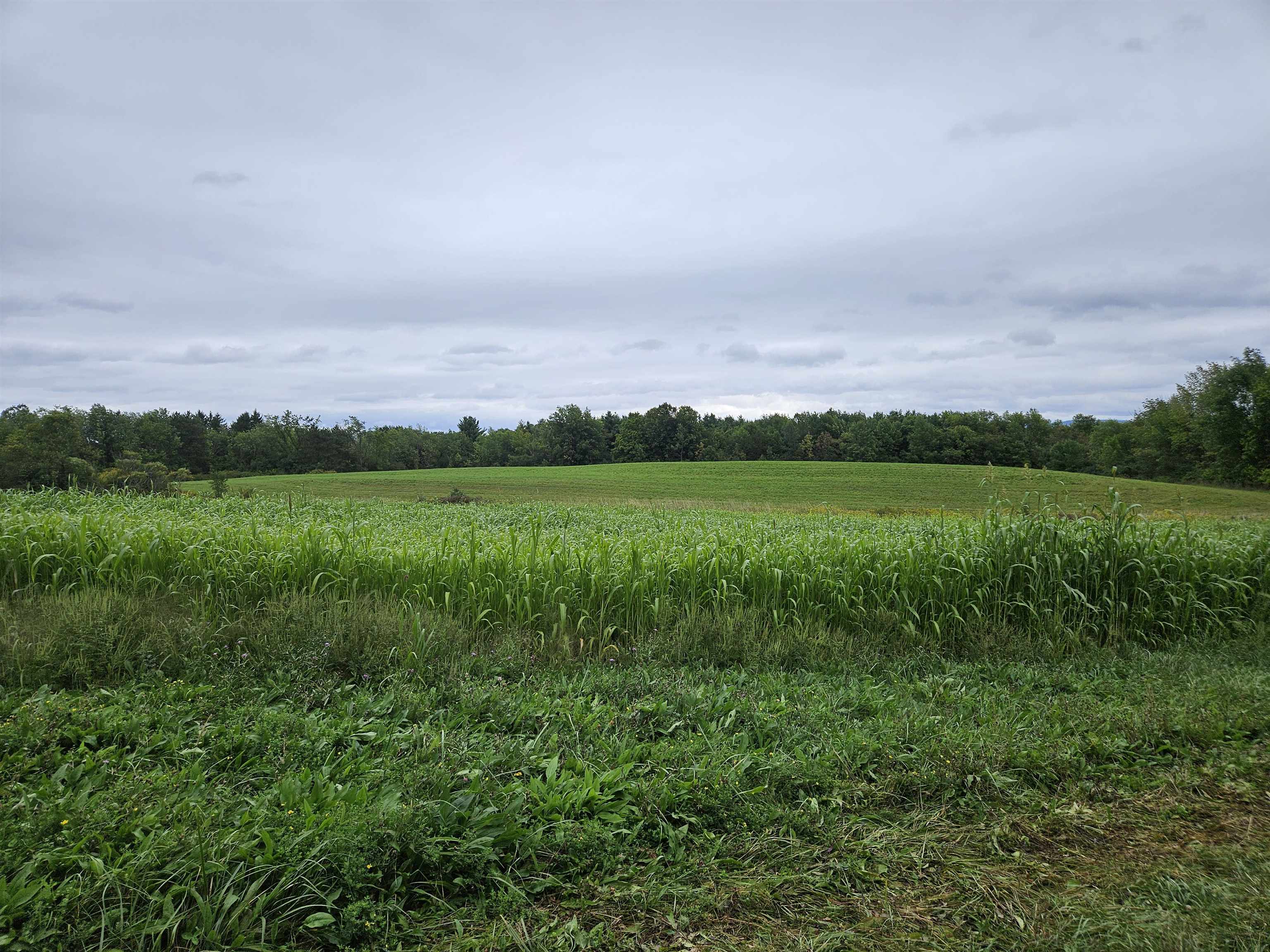 0 Cider Mill Road Cornwall, VT 05753 - Photo 3 of 23