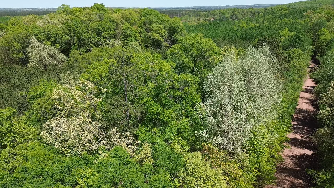 343 X 5th Avenue Shell Lake, WI 54871 - Photo 8 of 16