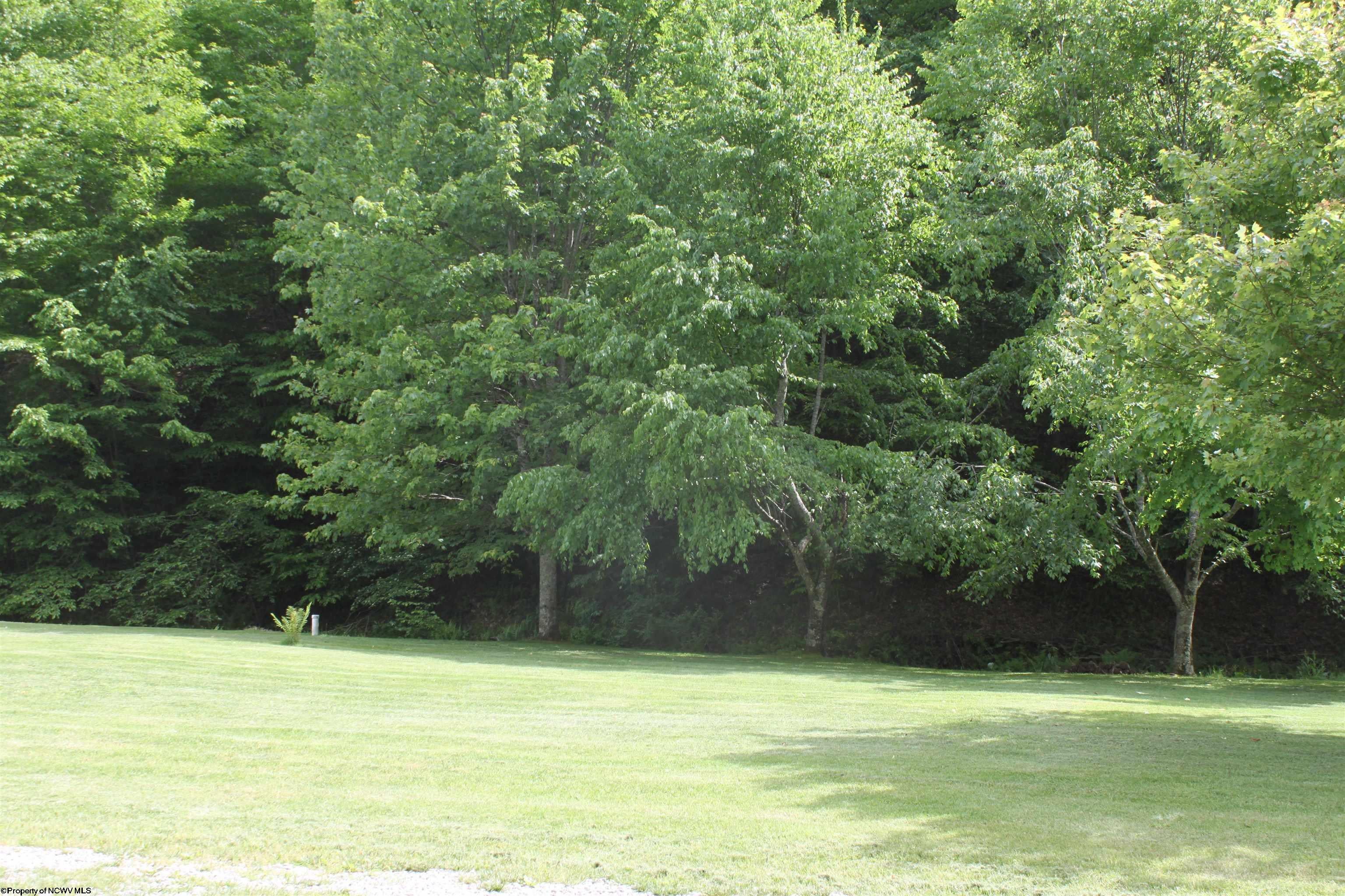 674 Laurel Fork Road Webster Springs, WV 26288 - Photo 25 of 31 Gallery Image 25