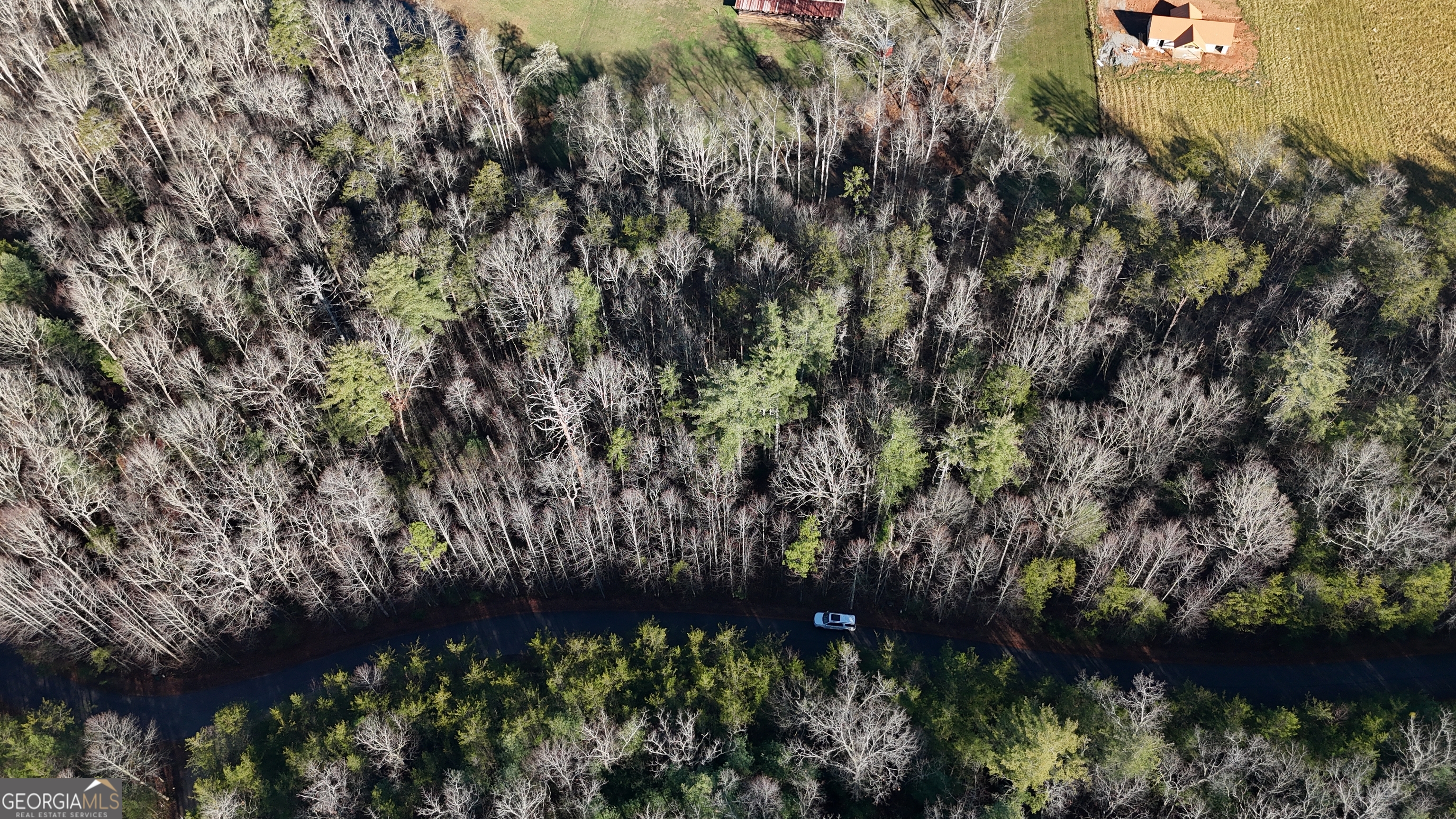 Lot 10 Gold Ditch Road Cleveland, GA 30528 - Photo 6 of 6
