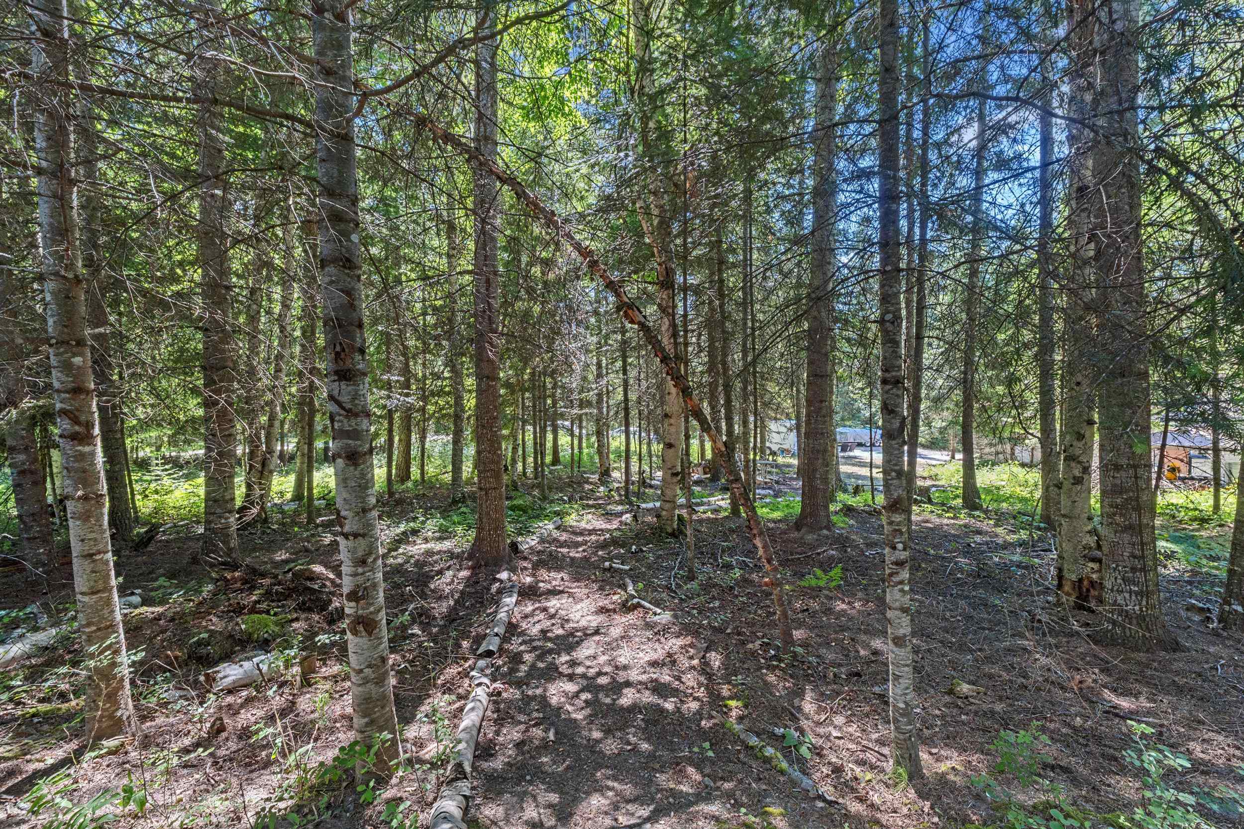 28922 LeClerc Road North, Unit N Ione, WA 99139 - Photo 30 of 44