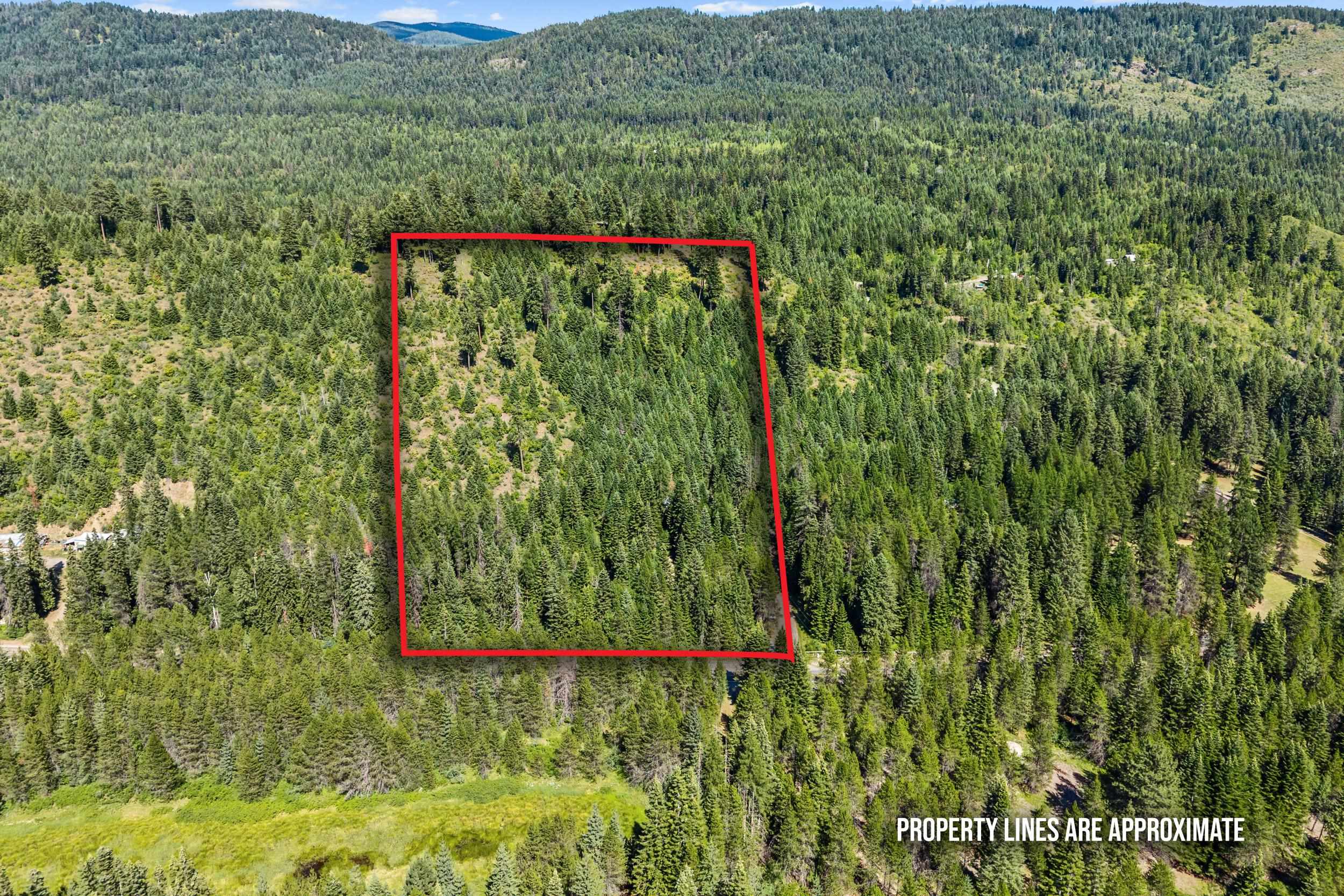 28922 LeClerc Road North, Unit N Ione, WA 99139 - Photo 41 of 44