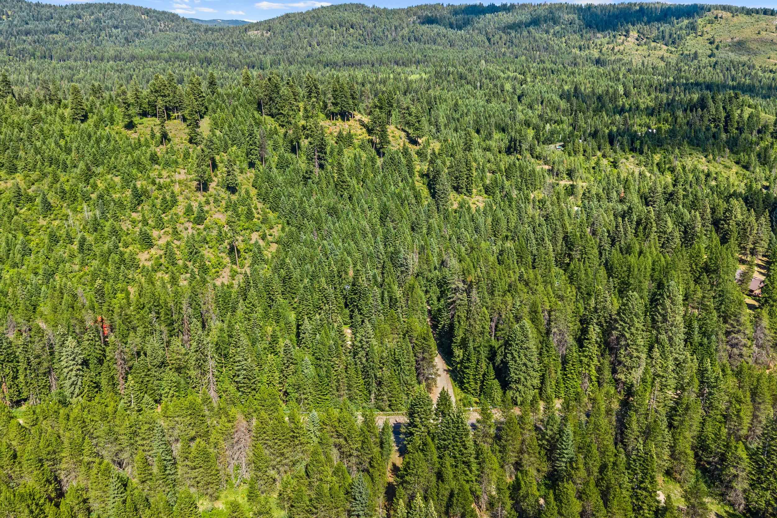 28922 LeClerc Road North, Unit N Ione, WA 99139 - Photo 44 of 44