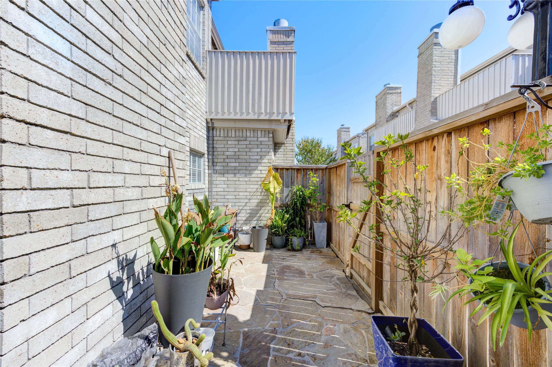 3800 Tanglewilde Street, Unit 803 Houston, TX 77063 - Photo 27 of 36 a potted plant sitting in front of a building