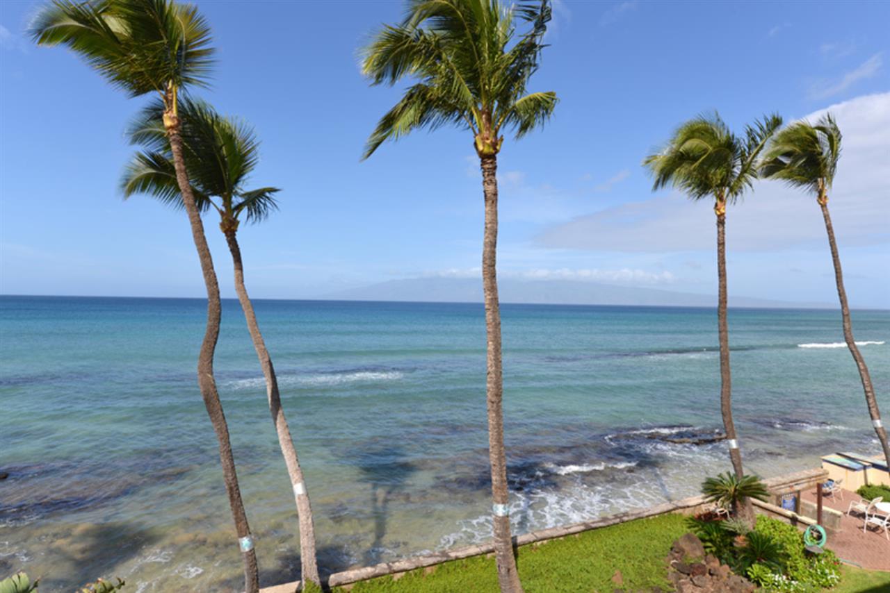 3741 Lower Honoapiilani Road, Unit 301 Lahaina, HI 96761 - Photo 3 of 18 a vase of flowers sitting on a table with a garden