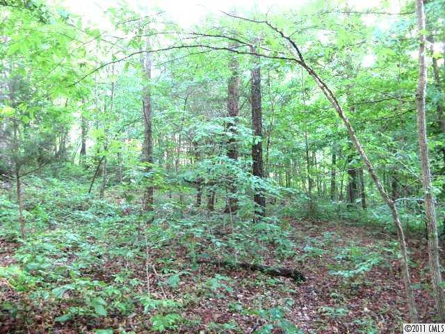 Lot J Lochaven Road Waxhaw, NC 28173 - Photo 1 of 1