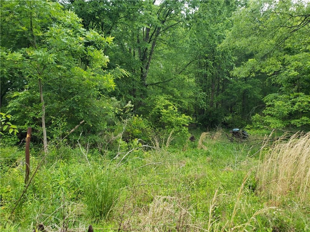 Gallery Image 6