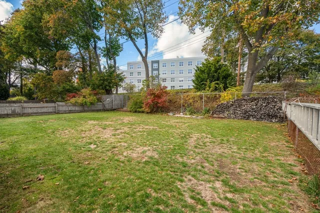 a view of a yard with large trees