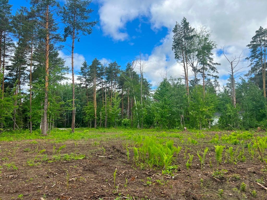 Lot 9-blk Isleview Road Grand Rapids, MN 55744 - Photo 12 of 14
