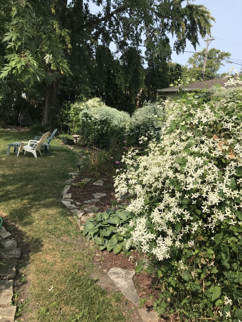 768 Spring Road Elmhurst, IL 60126 - Photo 9 of 23