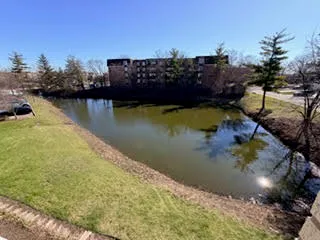 a view of a lake