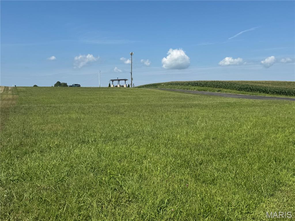 3402 Arbor View Freeburg, IL 62243 - Photo 4 of 7