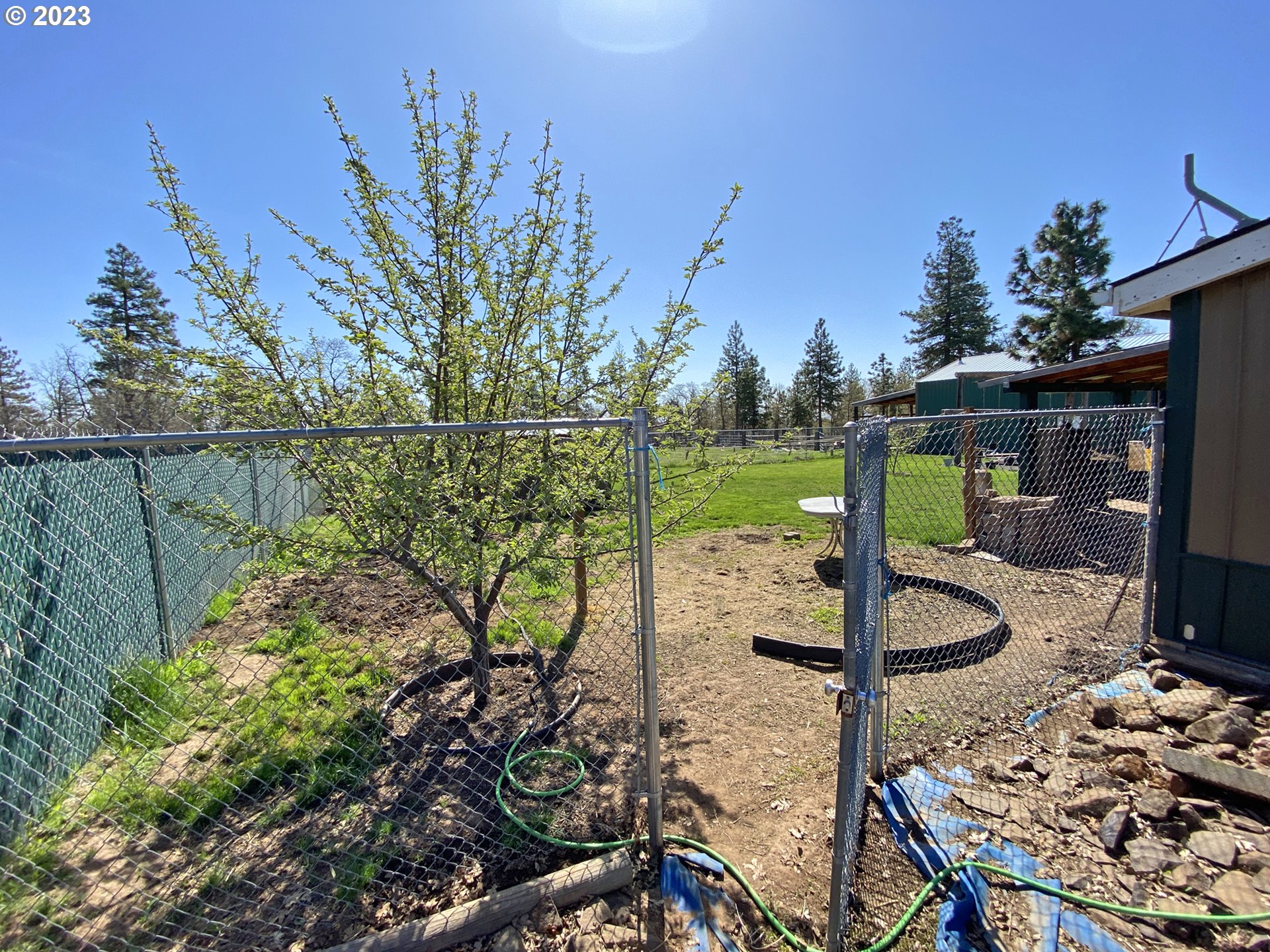 306 Old Mountain Road Goldendale, WA 98620 - Photo 27 of 48 Gallery Image 27