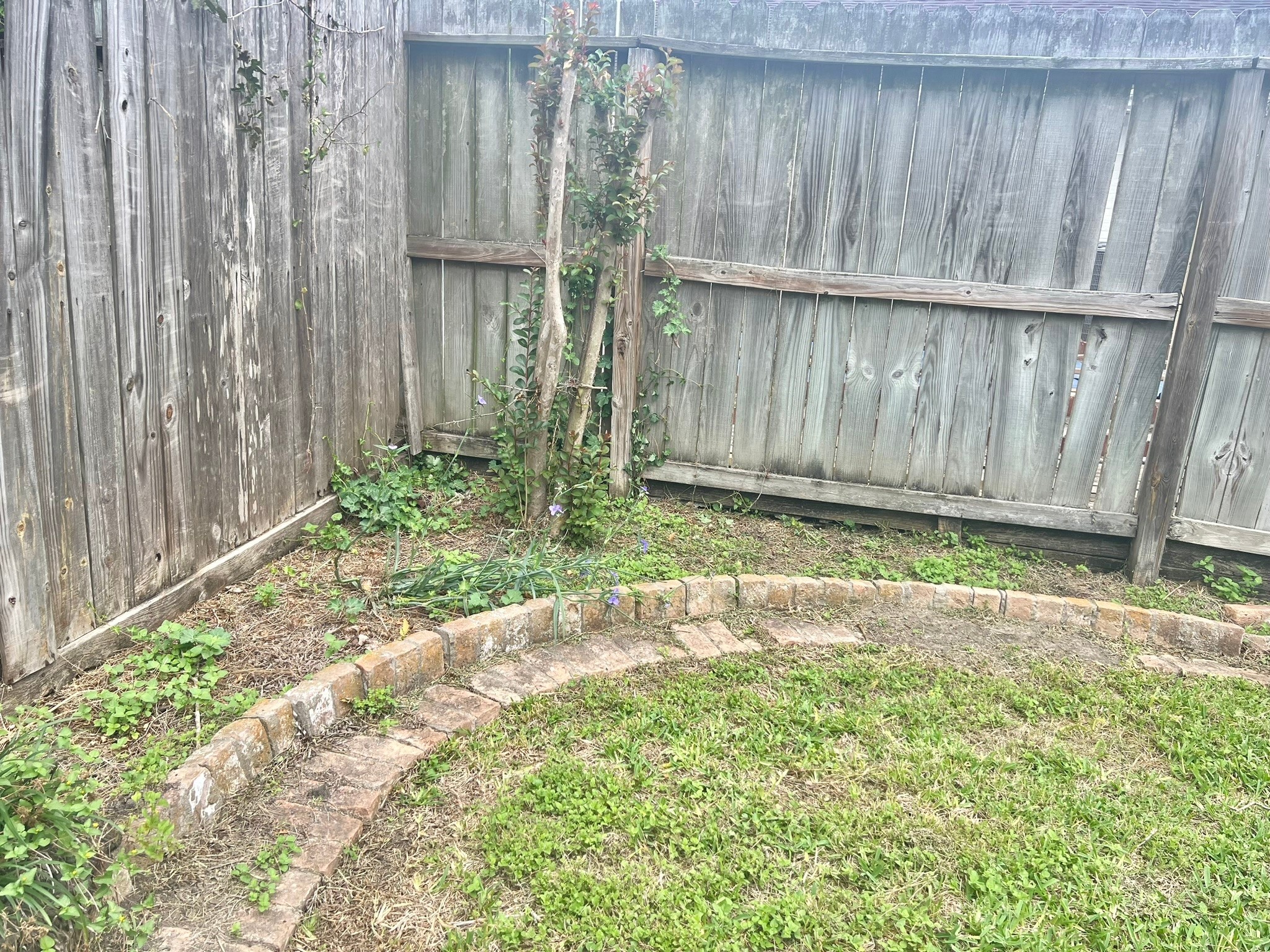 11538 Neff Street Houston, TX 77072 - Photo 24 of 29