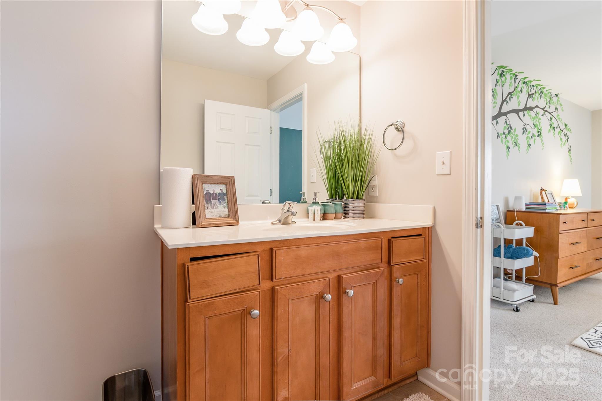 15127 Taylor Ridge Lane Charlotte, NC 28273 - Photo 34 of 42 a bathroom with a sink vanity and a mirror