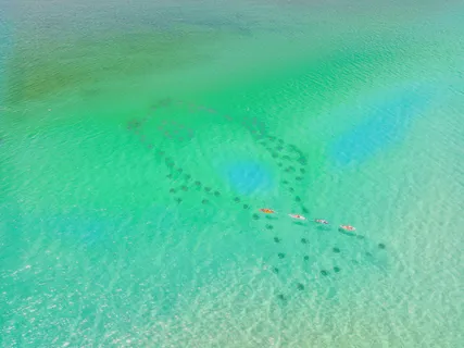 $3,190,000 | 93 Emerald Cove Lane North, Inlet Beach, FL 32461