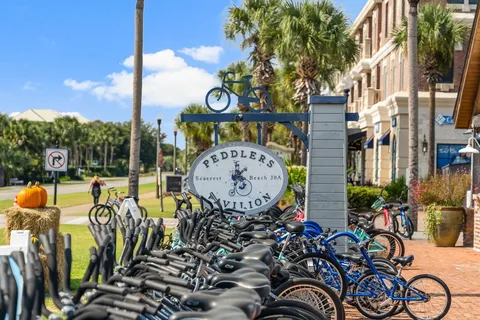 $3,190,000 | 93 Emerald Cove Lane North, Inlet Beach, FL 32461