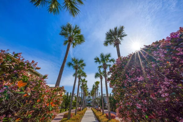 $3,190,000 | 93 Emerald Cove Lane North, Inlet Beach, FL 32461