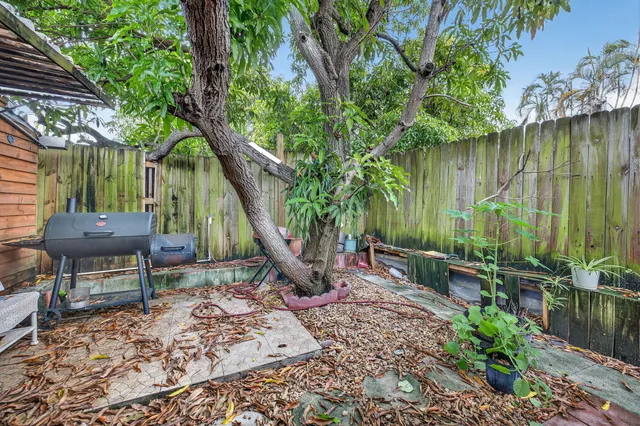 a backyard of a house with chairs and a large tree
