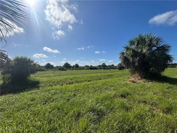 a view of a golf course with a tree