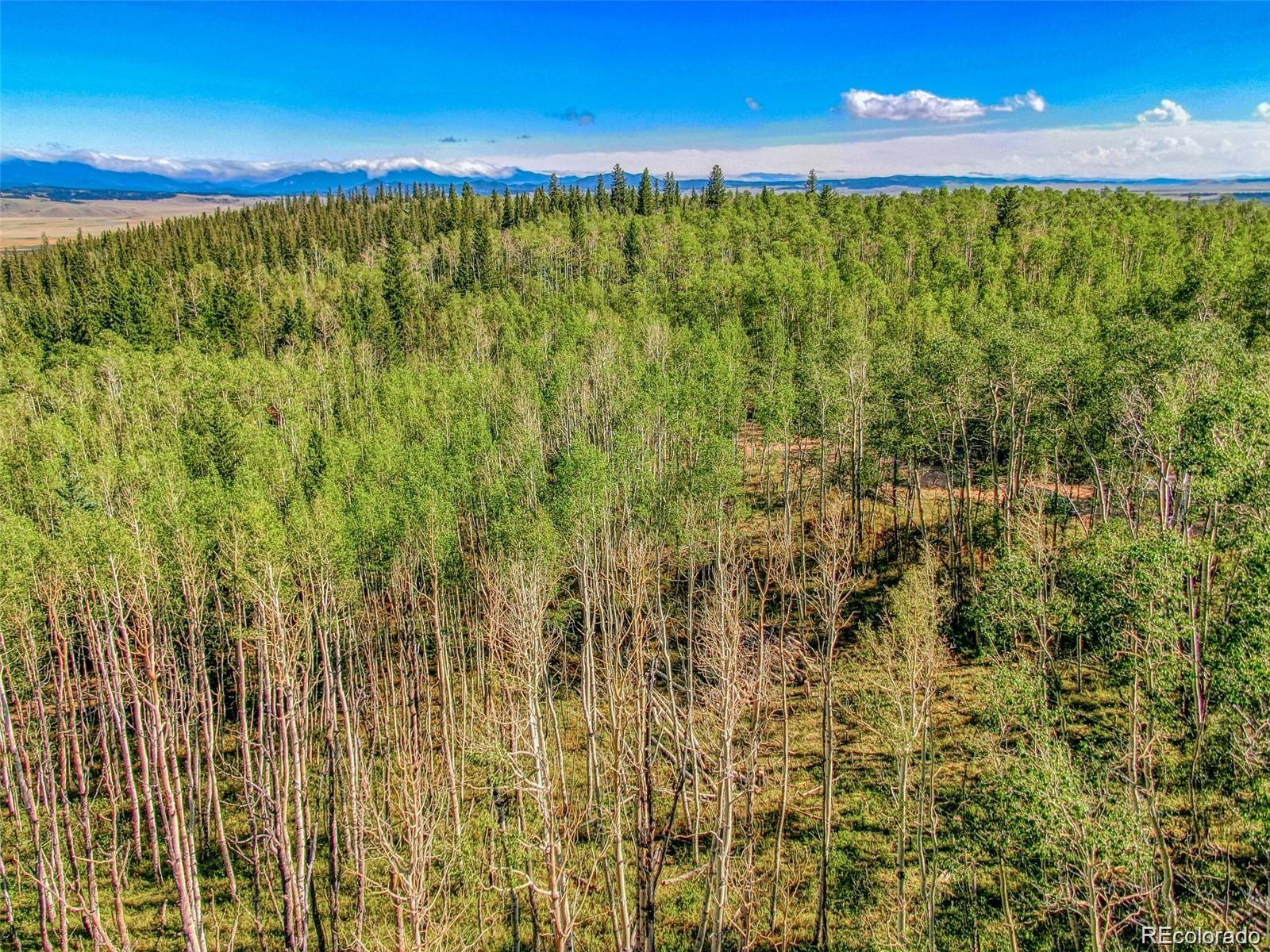 607 Boreas Circle Jefferson, CO 80456 - Photo 11 of 30