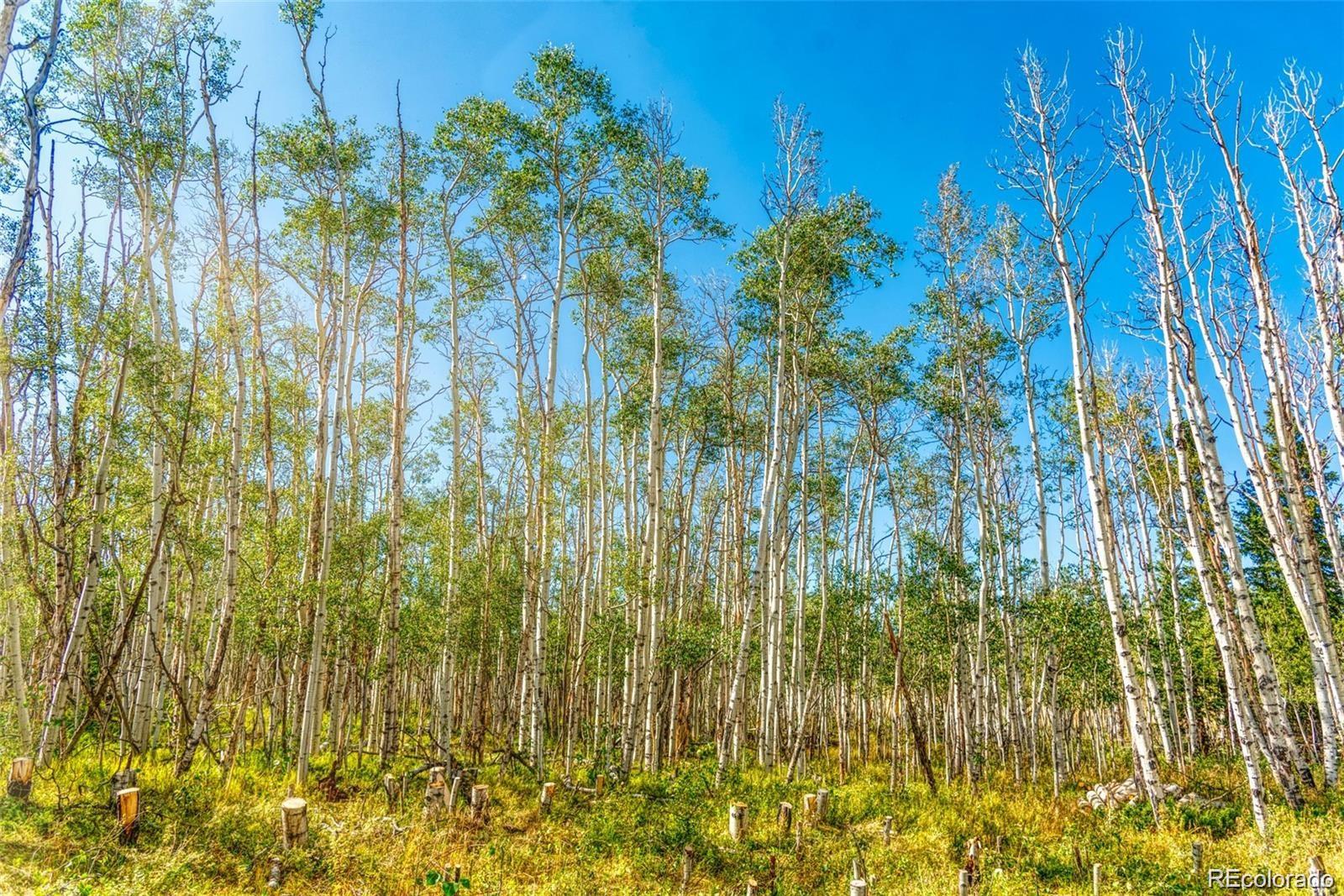 607 Boreas Circle Jefferson, CO 80456 - Photo 18 of 30